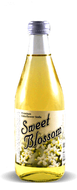 Sweet Blossom Soda - Elderflower - Soda Pop Stop