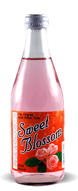Sweet Blossom Soda - Rose - Soda Pop Stop
