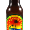 Reed's Extra Ginger Brew - Soda Pop Stop