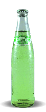 Sidral Mundet Manzana Verde/Green Apple Flavored Soda - Soda Pop Stop